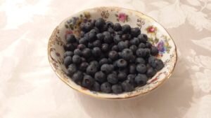 Bowl of blueberries freshly picked at the Bridges Inn at Whitcomb House